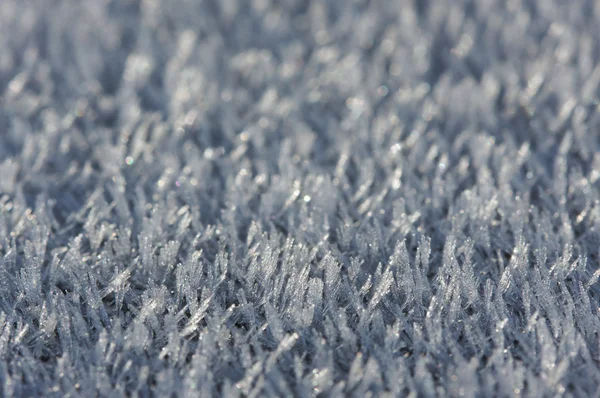 朝の霜の結晶 — ストック写真