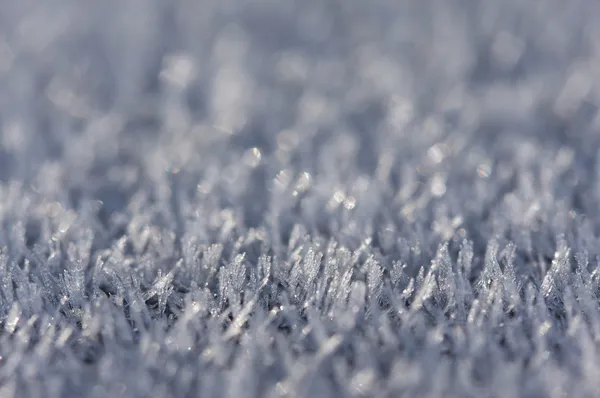 Sabah buz kristalleri — Stok fotoğraf
