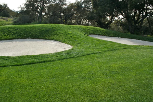 高尔夫球场抽象掩体和草 — 图库照片