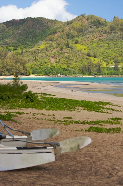 Катамаран в ожидании на пляже — стоковое фото