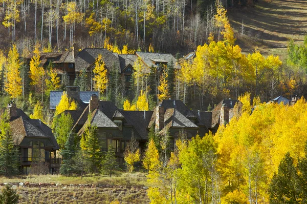 Aspen Condos Amidst the Changing Aspen Pines — Stock Photo, Image