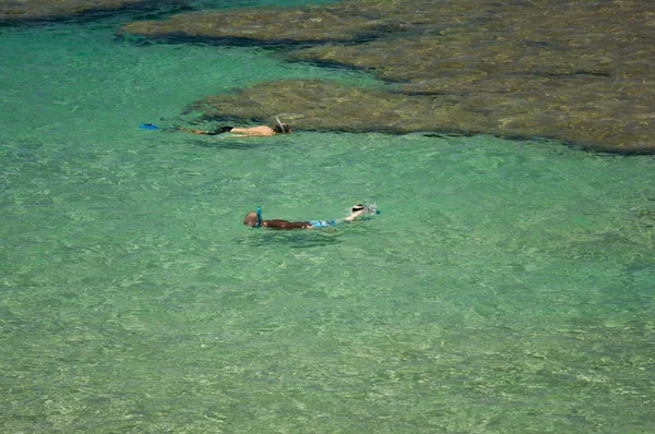 Snorkelaars in de heldere tropische wateren — Stockfoto