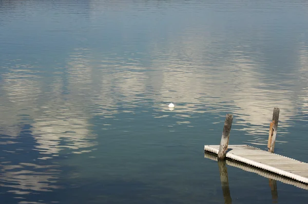 Klidné ranní jezero scéna s krásnou refle — Stock fotografie