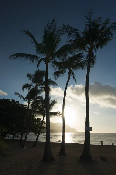 Západ slunce nad hanalei hnědák, kauai, Havaj — Stock fotografie