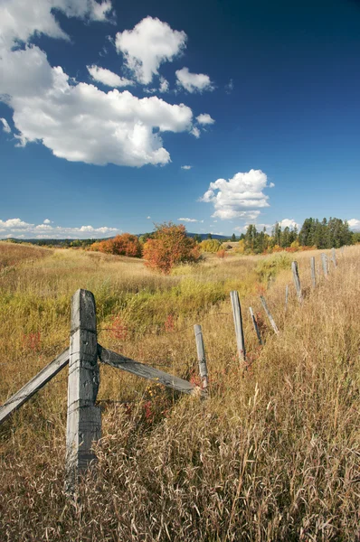 Hermoso paisaje de otoño con valla rústica — Foto de Stock