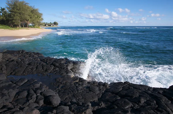 Tropikalny linii brzegowej na kauai, Hawaje — Zdjęcie stockowe