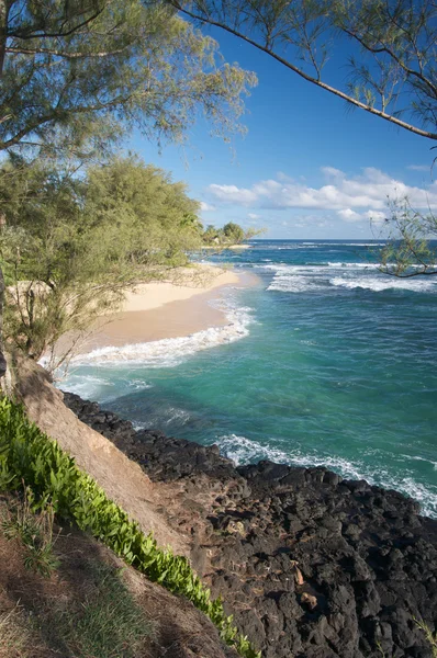 Kauai, hawaii tropik sahil — Stok fotoğraf
