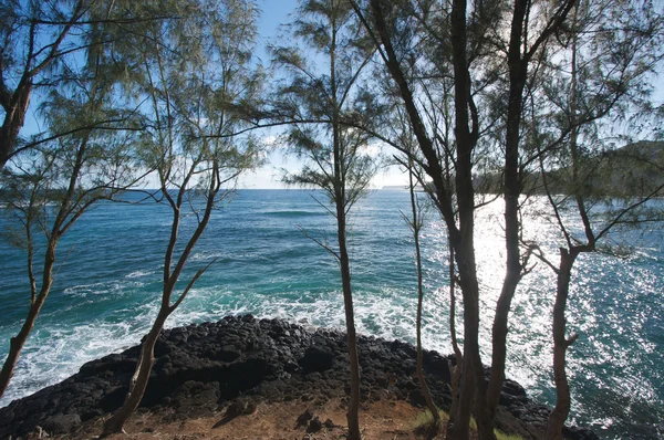 Linha de costa tropical em Kauai, Havaí — Fotografia de Stock