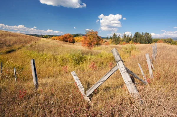 Hermoso paisaje de otoño con valla rústica — Foto de Stock