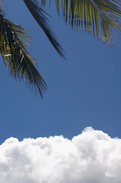 Nubes de cúmulos blancos frente a la costa de Kauai, Haw — Foto de Stock