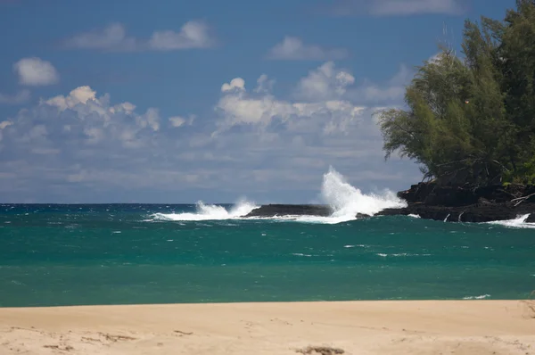 Shoreline tropicale e alberi su Kauai, Hawaii — Foto Stock