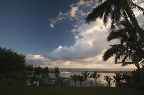 Tropischer Sonnenuntergang mit Palmen und Wolken. — Stockfoto