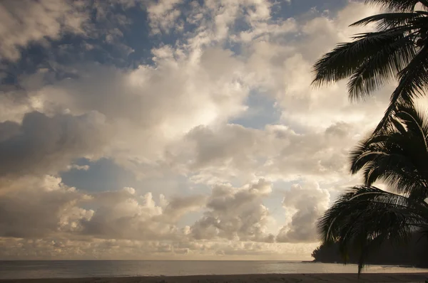 Puesta de sol tropical con palmeras y nubes . — Foto de Stock