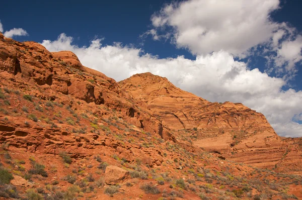 Červené skály Utah s dramatickým modré oblohy a mraky — Stock fotografie