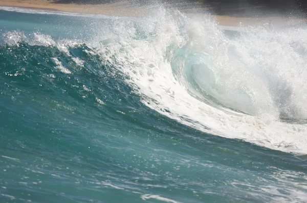 Dramatické shorebreak vlna — Stock fotografie