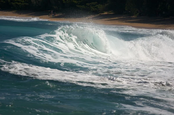 Dramatic Shorebreak Wave — Stock Photo, Image