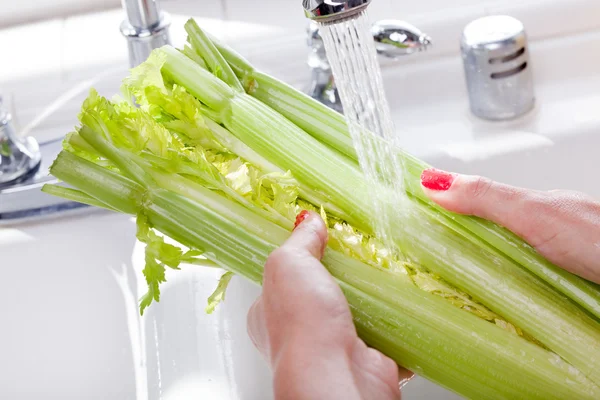 Žena mytí celer v dřezu — Stock fotografie