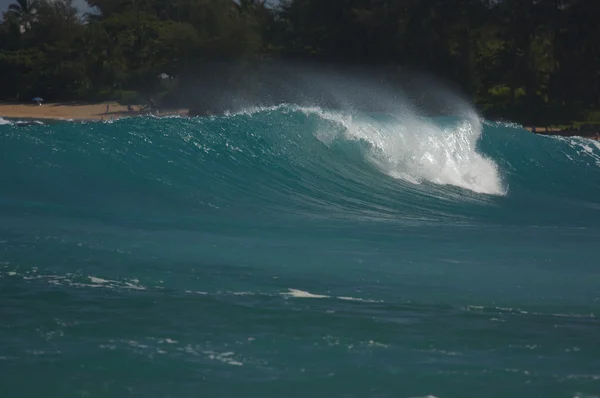 Dramático Shorebreak Wave —  Fotos de Stock