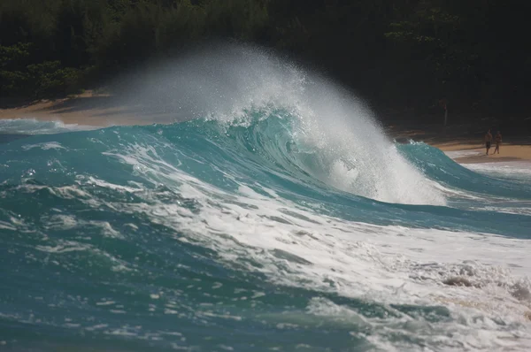 Dramatické shorebreak vlna — Stock fotografie
