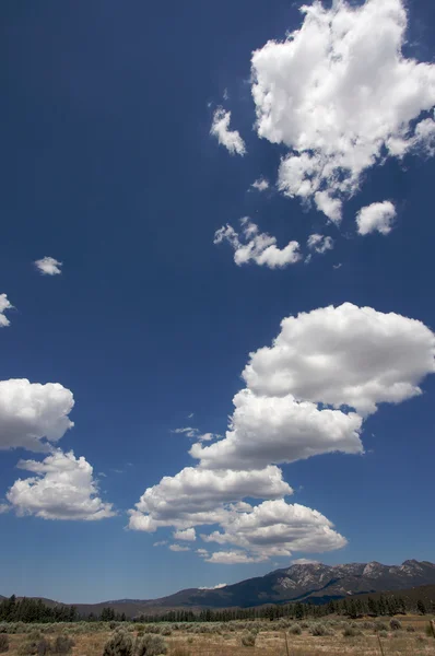 高齢者のフェンスと雲 — ストック写真