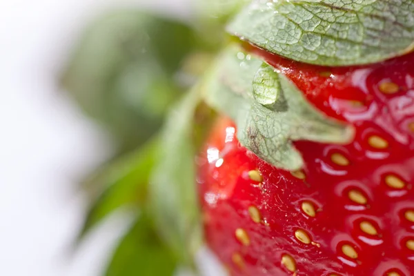 Makro von Erdbeere mit Wassertropfen — Stockfoto