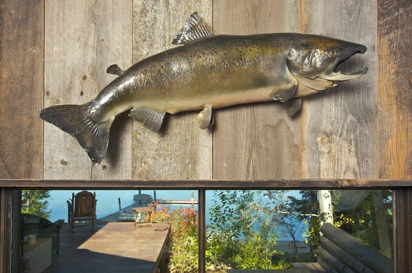 stock image Stuffed Fish Mounted on the Wall