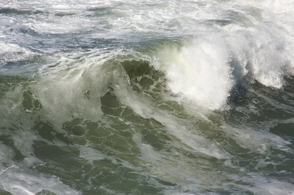 Kaba Pasifik Okyanusu dalgaları — Stok fotoğraf