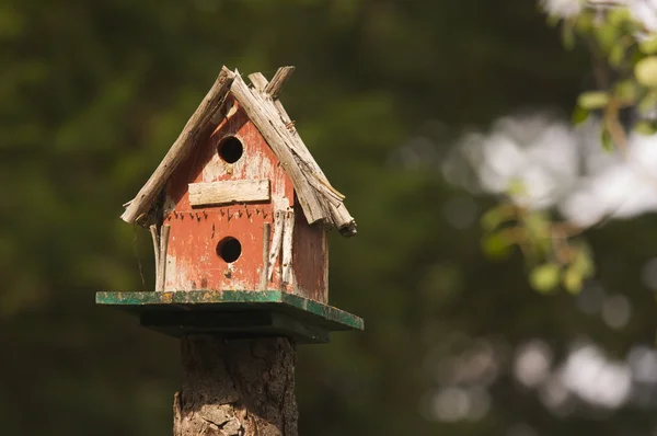 stock image Rustic Birdhouse Amongst Pine Trees