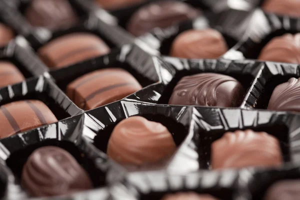 Bandeja de Chocolates Ligeros y Oscuros — Foto de Stock