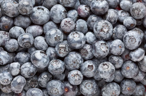 Bunch of Blueberries Fundo — Fotografia de Stock