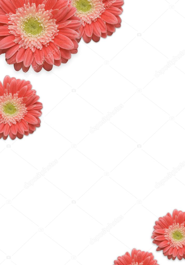 Falling Daisies Background