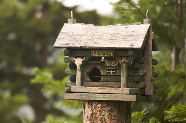 stock image Rustic Birdhouse Amongst Pine Trees