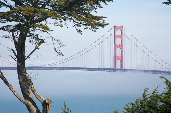 Η χρυσή γέφυρα πυλών στην ομίχλη — Φωτογραφία Αρχείου