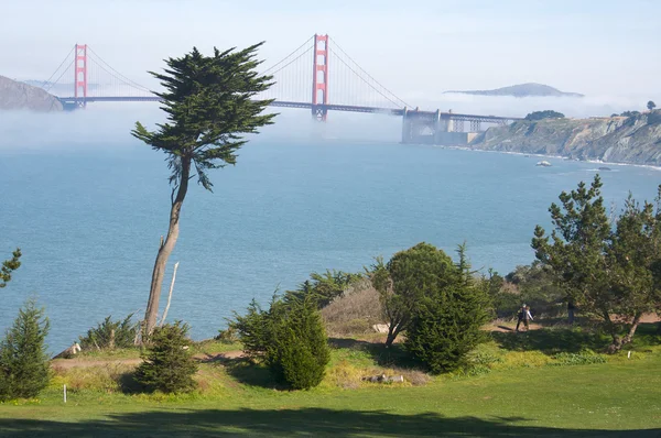 Golden Gate-bron i morgondimman — Stockfoto