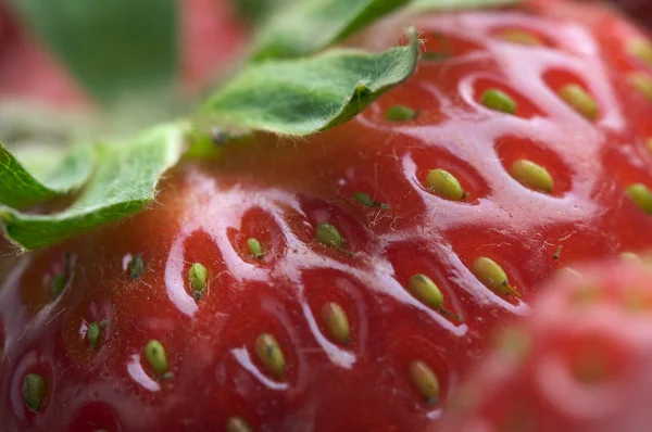 Close-up aardbeien — Stockfoto