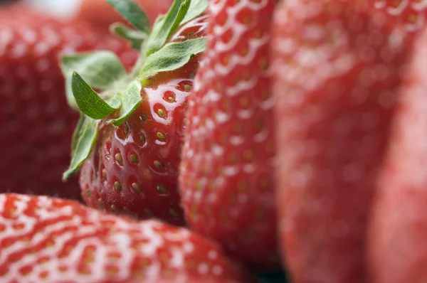特写草莓 — 图库照片
