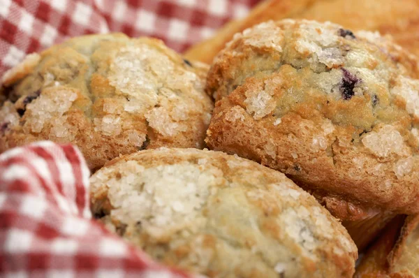 stock image Blueberry Muffins in Basket