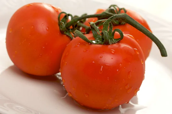 Świeże czerwone pomidory na białym talerzu — Zdjęcie stockowe