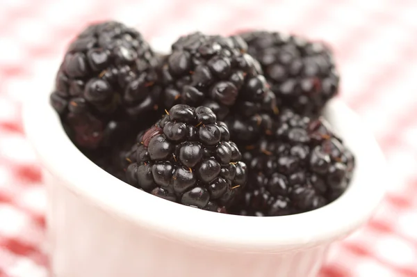在一个小的碗中的黑莓 — 图库照片