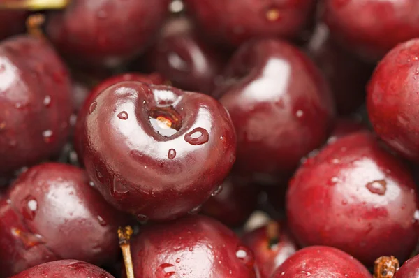 Bunch of Fresh Cherries — Stock Photo, Image