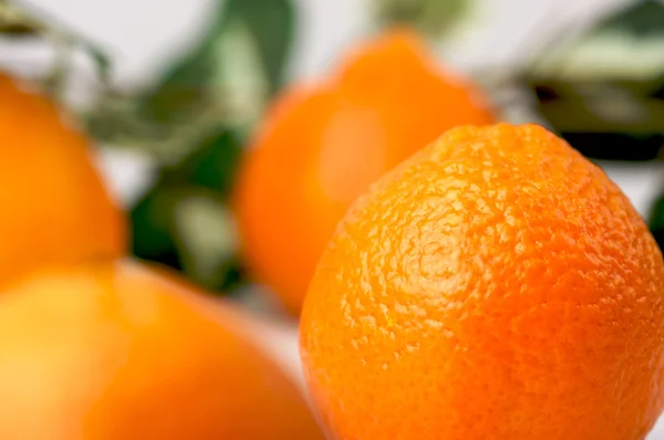 Naranjas de clementina — Foto de Stock