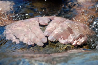 Hands in water