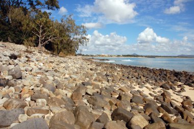 Beach at Noosa Head, Australia clipart