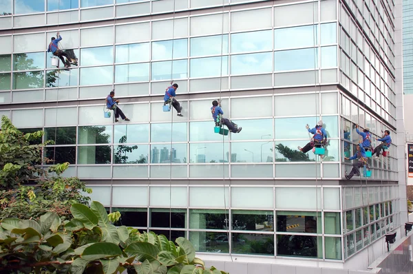 Працівники прибирають вікна офісних будівель — стокове фото