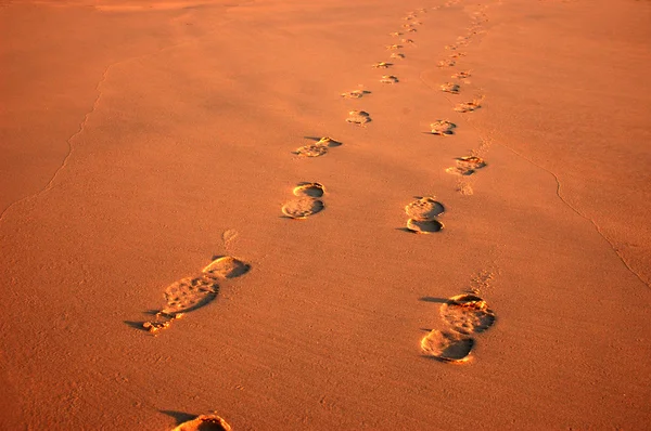 해변에서 모래에 있는 발자국 — 스톡 사진
