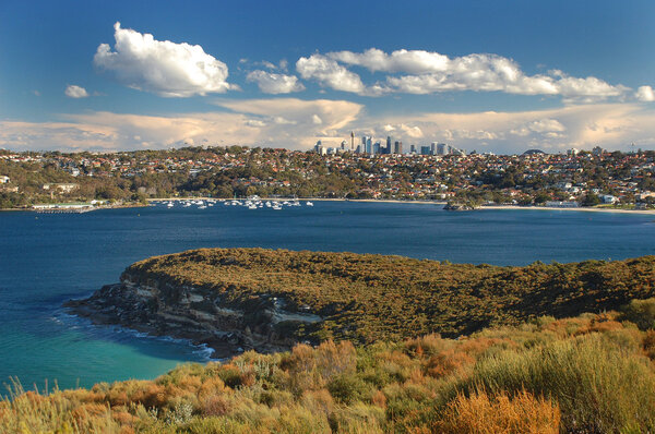 Beautiful Sydney Skyline with ocean bay