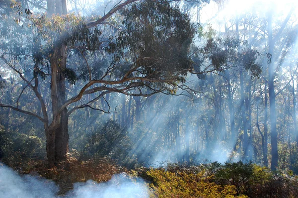 Bush fumaça do fogo na Austrália — Fotografia de Stock