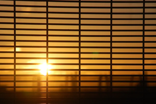 Windows blinds med soluppgång — Stockfoto