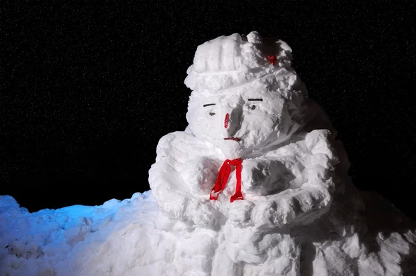 Stock image Snowman at night