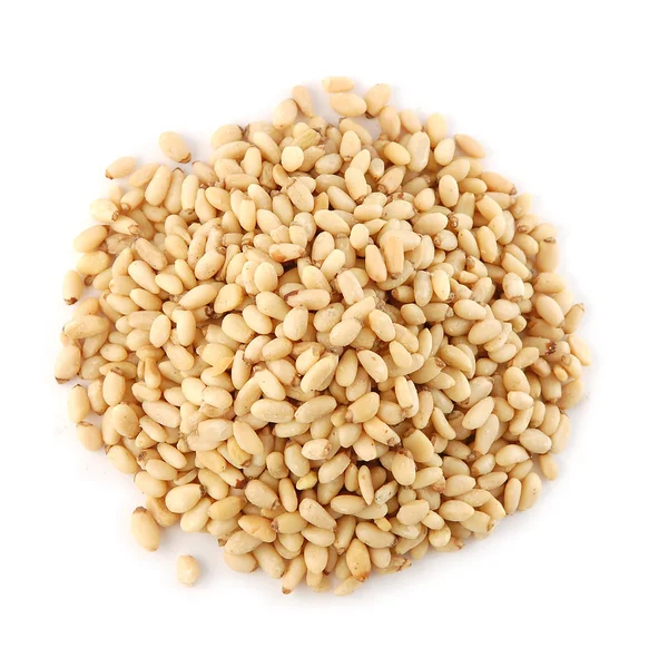 Pile of pine seeds — Stock Photo, Image